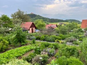 Erfurt Offene Gärten Open Gardens